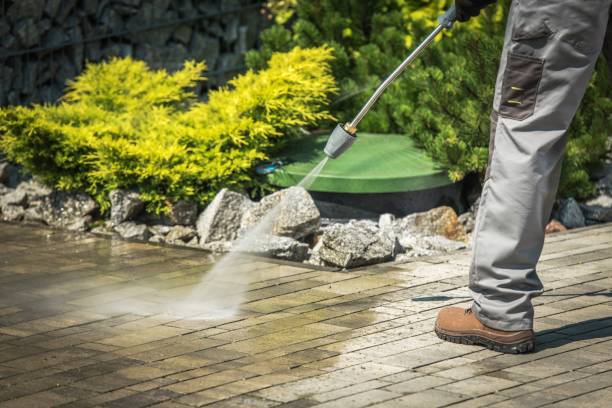 Best Dumpster Area Cleaning  in Matteson, IL