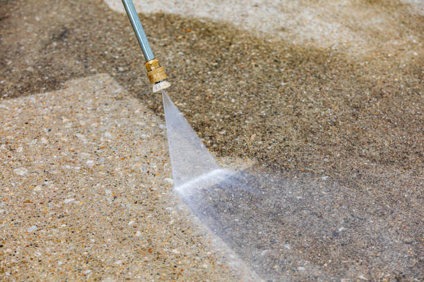 Best Animal Enclosure Cleaning  in Matteson, IL